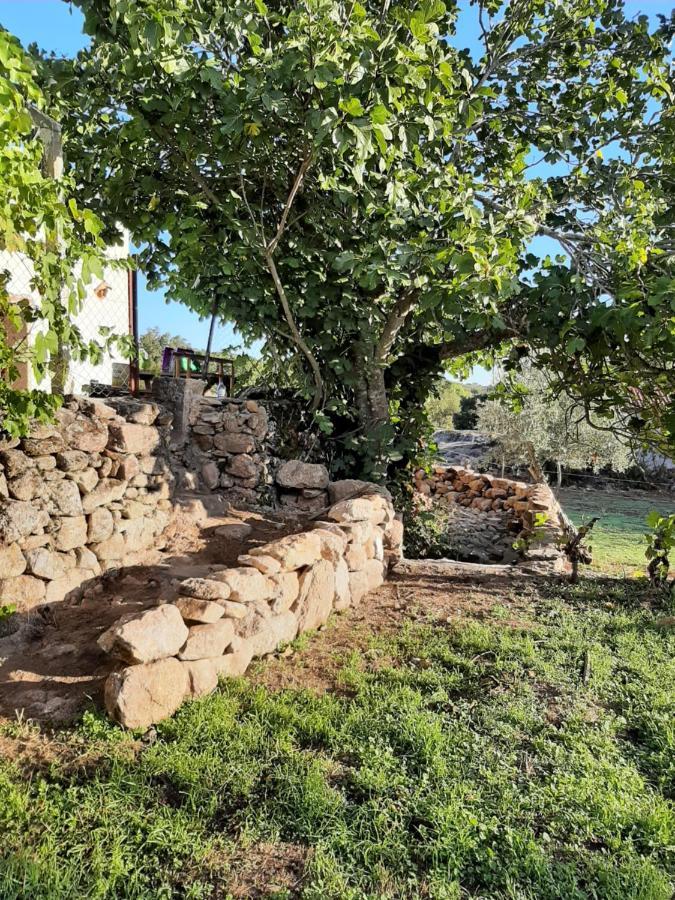 Magic Nature Lodge Marvão Extérieur photo