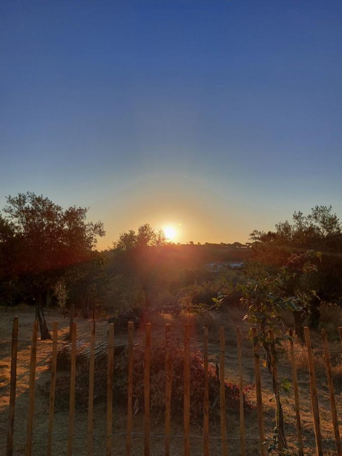 Magic Nature Lodge Marvão Extérieur photo
